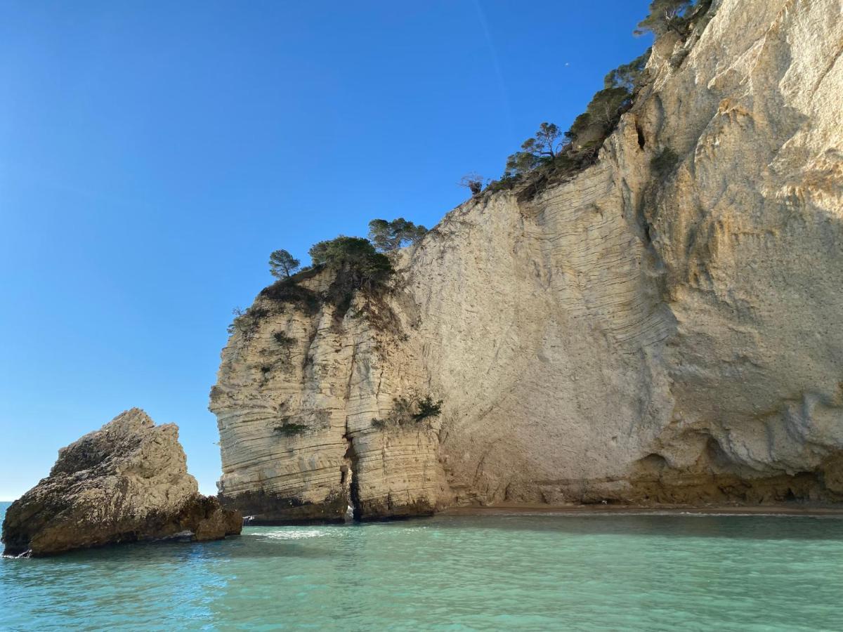 Hotel Punta San Francesco 维耶斯泰 外观 照片